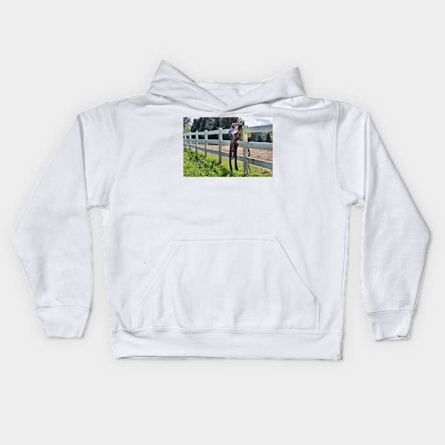 Saddle on the Fence Kids Hoodie by bgaynor